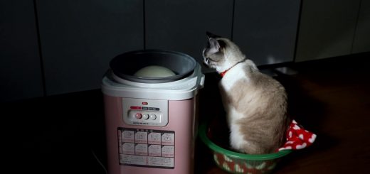 餅つき機の横で丸まる猫の寝姿、つかれる餅と完全に一致