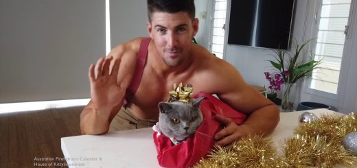 クリスマスプレゼント風に猫を包む、味わい深いHow To動画